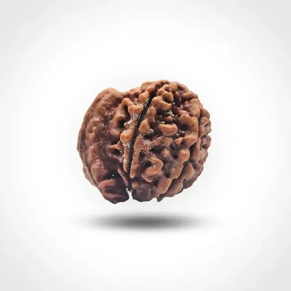 GANESHA NEPALI RUDRAKSHA