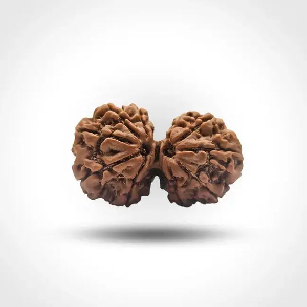 GAURISHANKAR RUDRAKSHA NEPAL